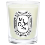 Nến thơm Diptyque Small Candle 70g